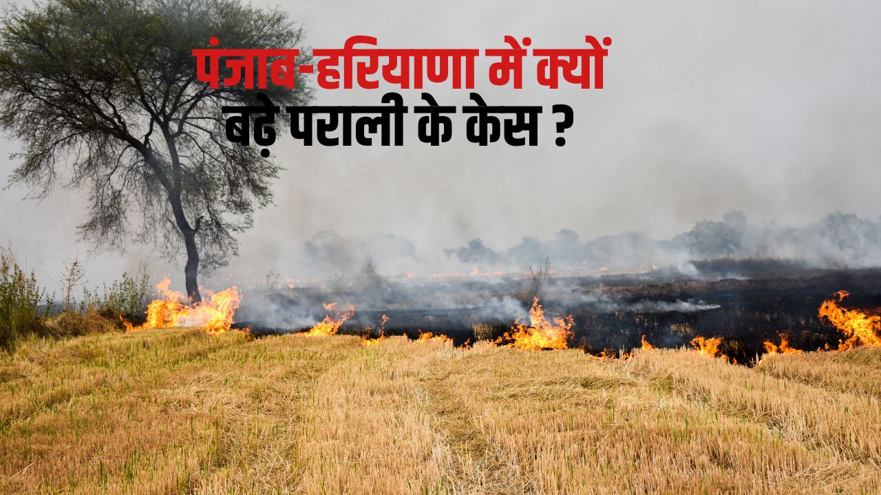 पराली जलाने में हरियाणा से आगे निकला पंजाब तो किसान नेताओं ने कर डाली बड़ी मांग, एडवाइजरी जारी