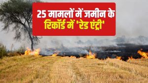 पंजाब- हरियाणा में पराली जलाने की घटना बढ़ी, 72 घंटे में आए 1973 मामले.. कार्रवाई भी तेज