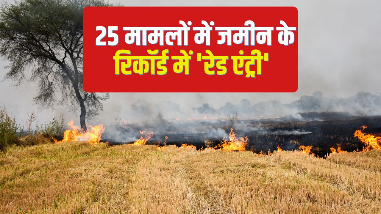 पंजाब- हरियाणा में पराली जलाने की घटना बढ़ी, 72 घंटे में आए 1973 मामले.. कार्रवाई भी तेज