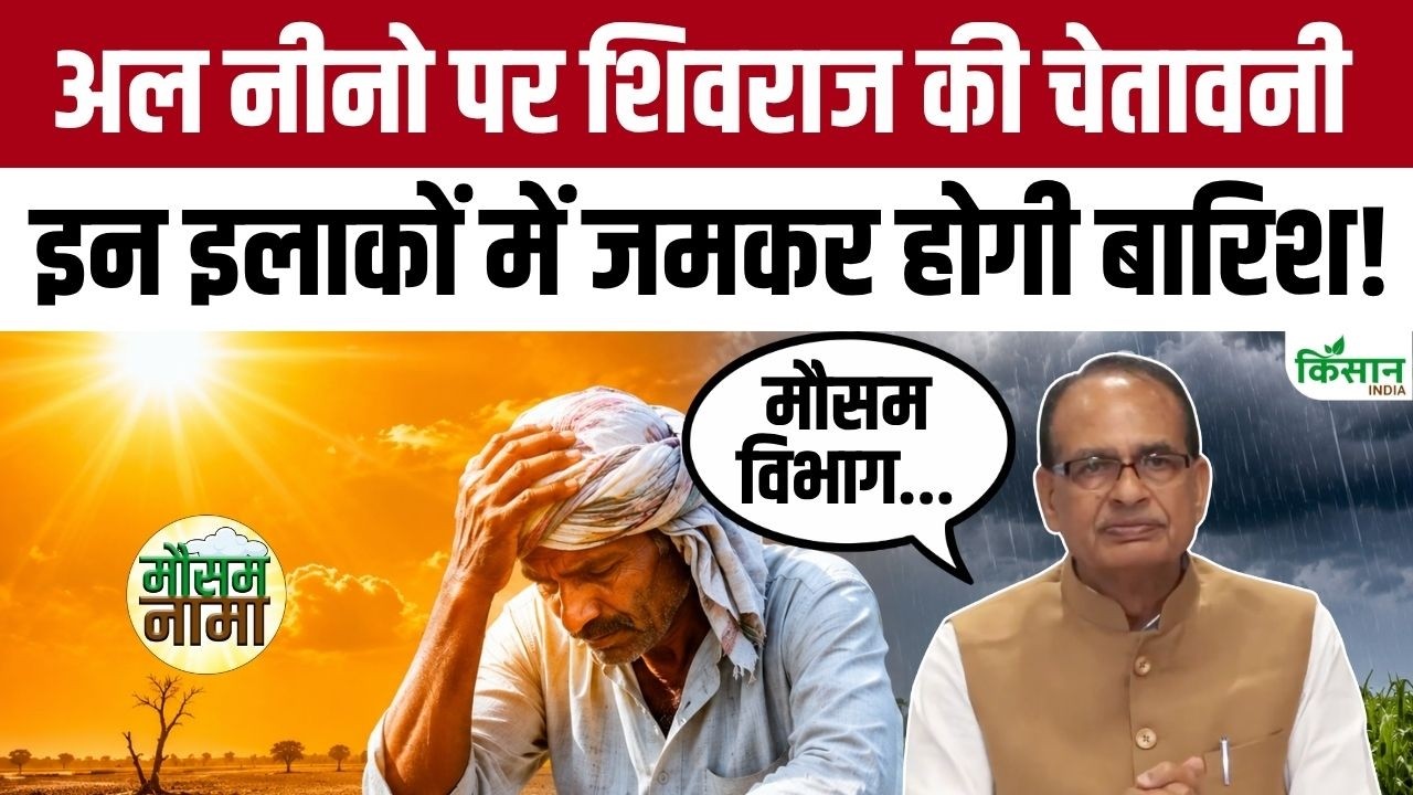 24 घंटों में भारी बारिश का अलर्ट! शिवराज सिंह चौहान ने किसानों और लोगों को किया सतर्क