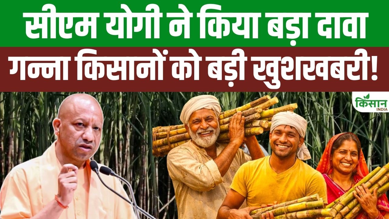 यूपी में गन्ना किसानों के लिए बड़ी खुशखबरी, योगी सरकार ने खेती विकास के ऐतिहासिक आंकड़े जारी किए