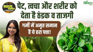 गर्मी में पुदीना बना शरीर का सुपरहीरो, पेट से त्वचा तक देगा जबरदस्त राहत गर्मी में पुदीना बना शरीर का सुपरहीरो, पेट से त्वचा तक देगा जबरदस्त राहत