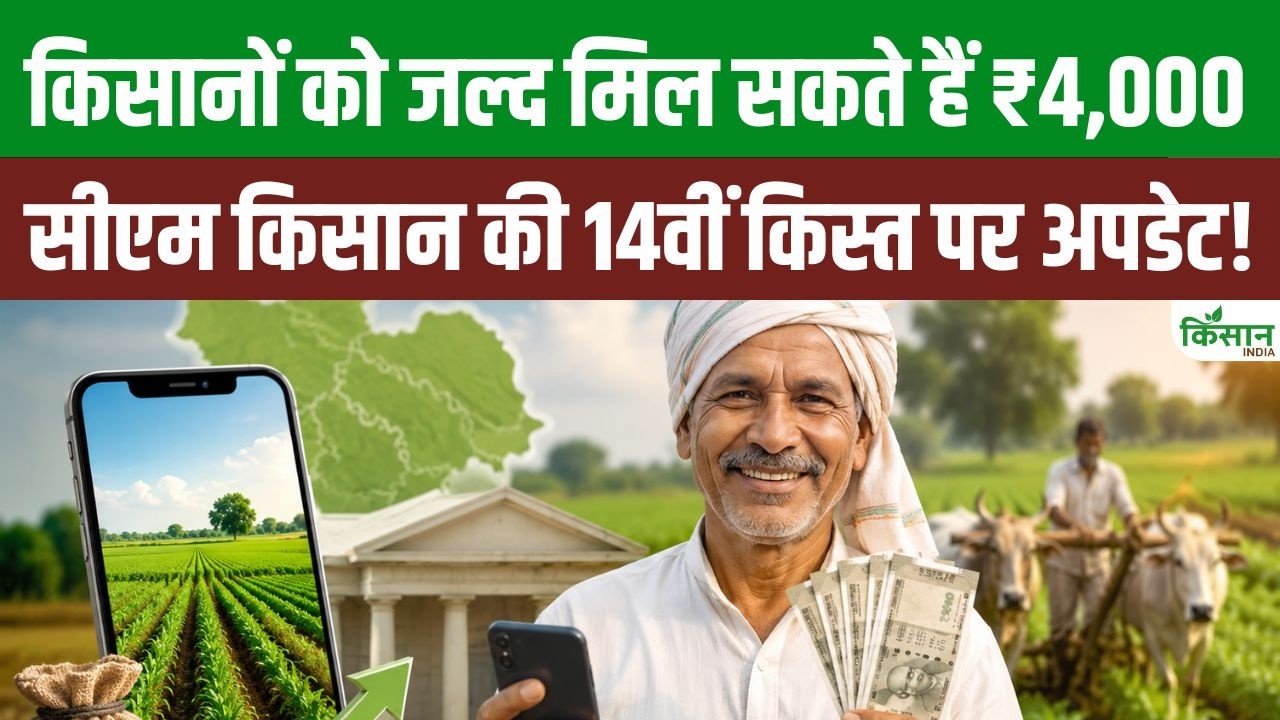 सीएम किसान योजना की 14वीं किस्त पर बड़ा अपडेट, किसानों के खातों में जल्द आ सकते हैं 4000 रुपये