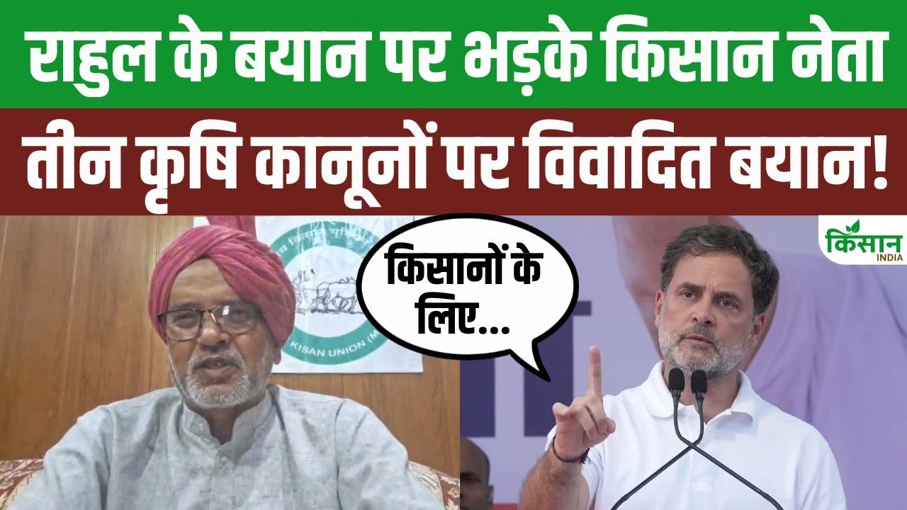 राहुल गांधी के बयान पर हरियाणा में किसान नेताओं का विरोध तेज, MSP और कानूनों को लेकर घमासान बढ़ा