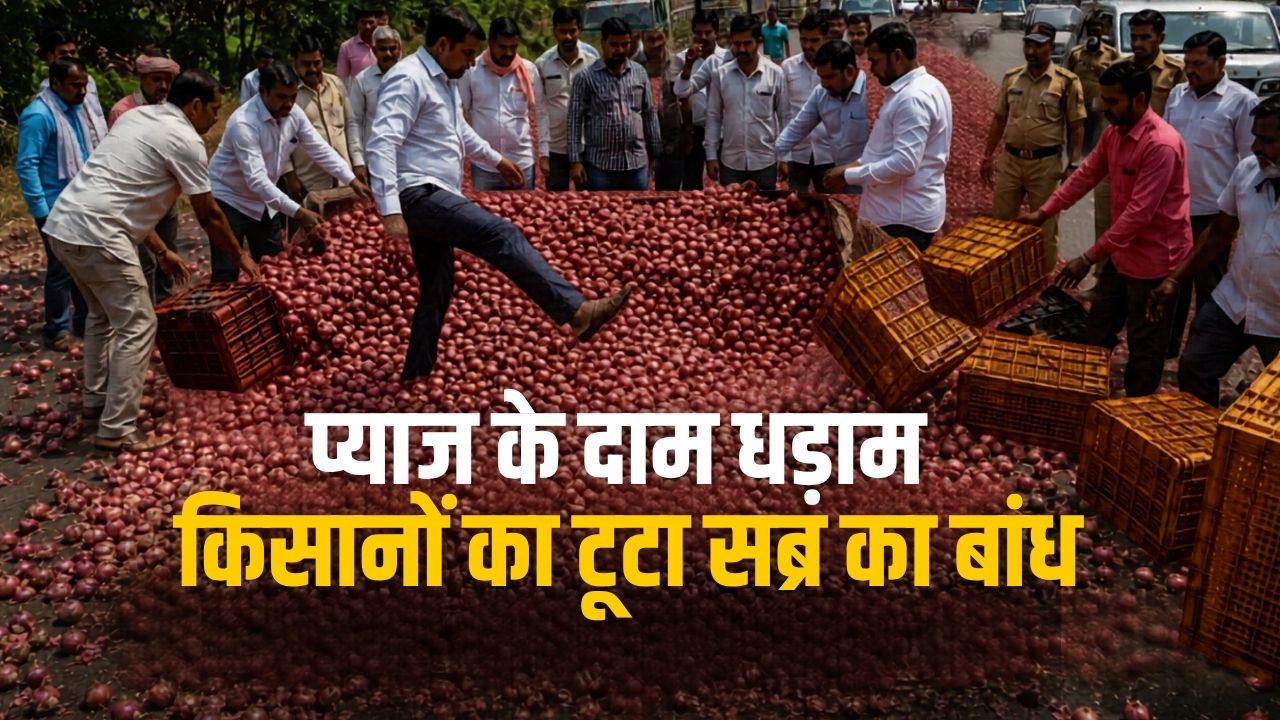 Onion Price Crash: प्याज 1 रुपये किलो बिकने से टूटा किसानों का हौसला, सड़क पर फेंकी पूरी फसल