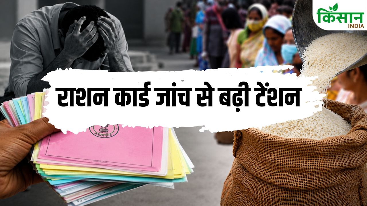 सरकार का बड़ा एक्शन, रद्द हुए 12 लाख राशन कार्ड! अब इन लोगों को नहीं मिलेगा मुफ्त राशन