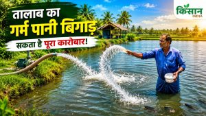 गर्मी में मछलियों के ग्रोथ पर अब नहीं लगेगा ब्रेक… नमक, ठंडे पानी और ये सफेद चीज कराएगा करोड़ों की कमाई! गर्मी में मछलियों के ग्रोथ पर अब नहीं लगेगा ब्रेक… नमक, ठंडे पानी और ये सफेद चीज कराएगा करोड़ों की कमाई!