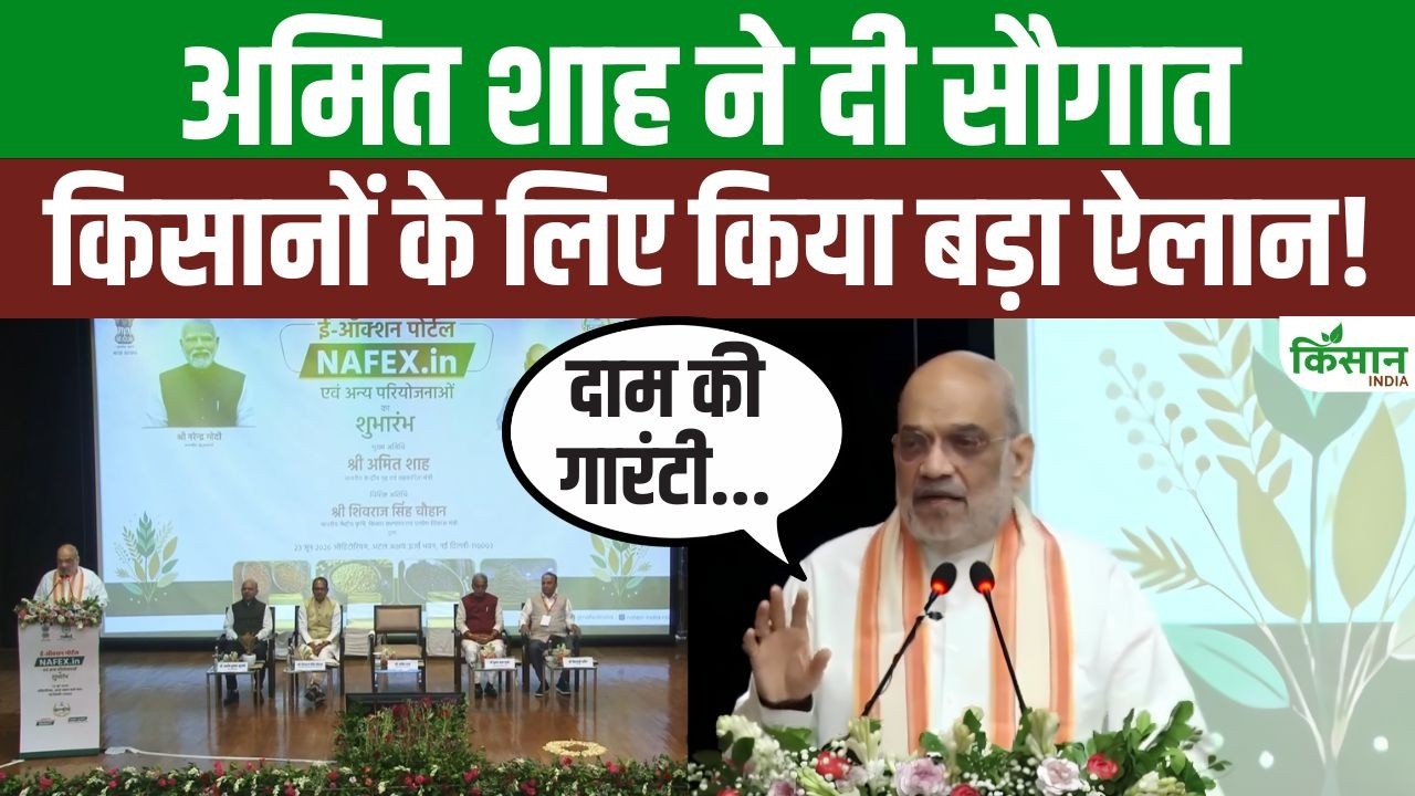 अमित शाह की बड़ी पहल! NAFEX से किसान सीधे बेचेंगे उपज, बेहतर दाम और ज्यादा मुनाफा मिलेगा