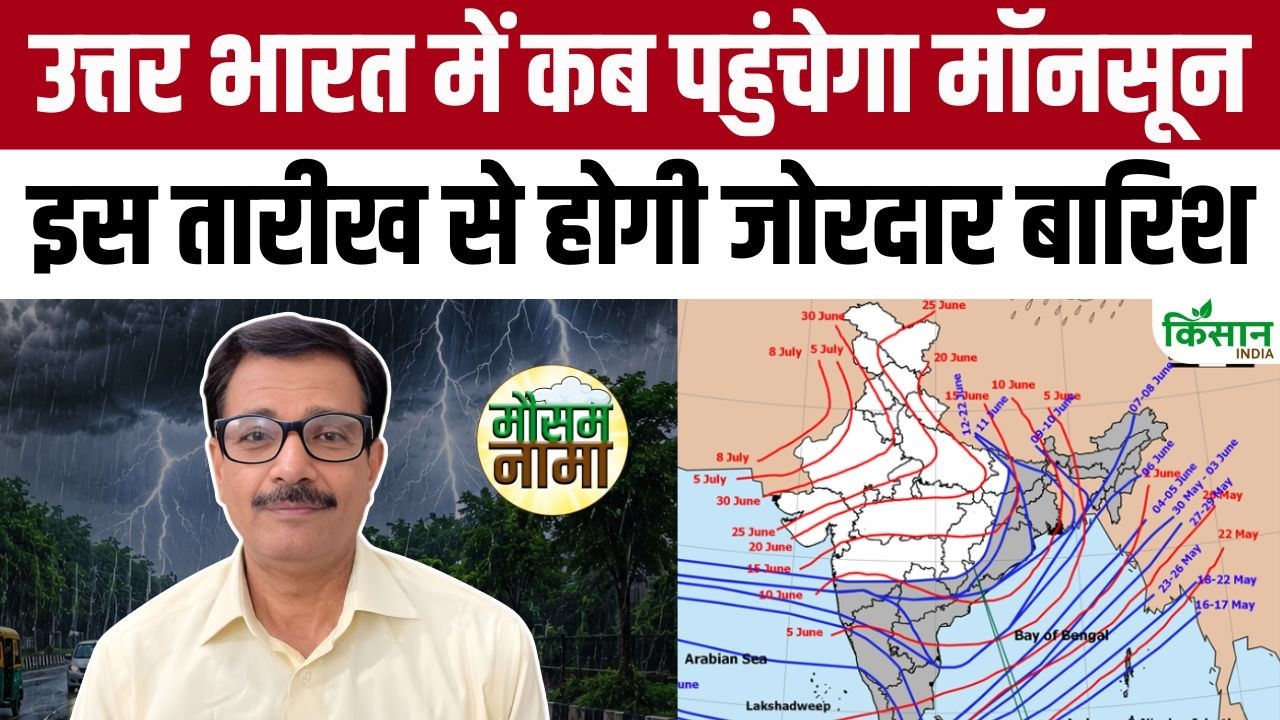 Monsoon ने पकड़ी रफ्तार! Delhi-NCR समेत 17 राज्यों में आंधी-बारिश को लेकर IMD का बड़ा अलर्ट जारी!