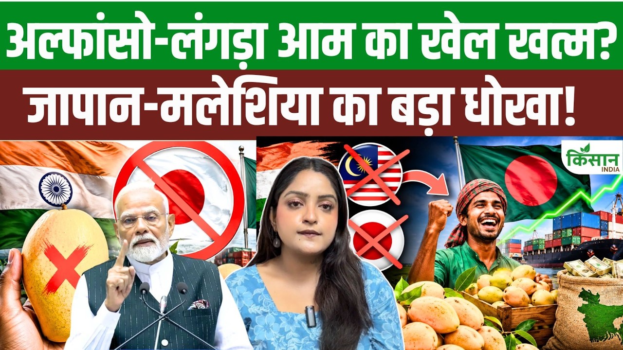 ग्लोबल मैंगो वॉर में भारत को झटका, मलेशिया-जापान ने बदला रुख