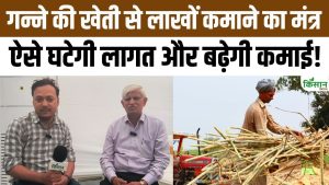 गन्ना किसानों की आय बढ़ाने का नया फॉर्मूला, पद्मश्री बक्शी राम का बड़ा खुलासा! नई किस्मों पर अपडेट! गन्ना किसानों की आय बढ़ाने का नया फॉर्मूला, पद्मश्री बक्शी राम का बड़ा खुलासा! नई किस्मों पर अपडेट!