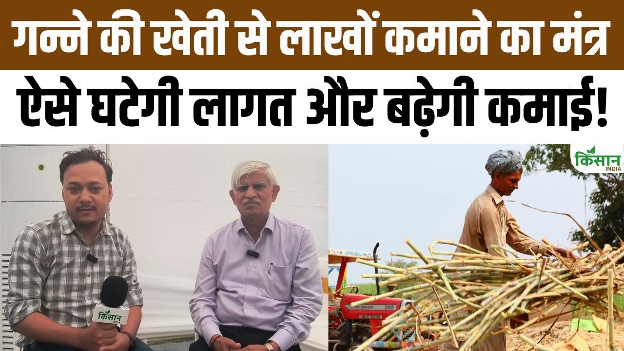 गन्ना किसानों की आय बढ़ाने का नया फॉर्मूला, पद्मश्री बक्शी राम का बड़ा खुलासा! नई किस्मों पर अपडेट!