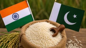 पाकिस्तान के ‘सस्ते चावल’ वाली नीति से भारतीय बासमती को चुनौती, कीमतों पर बढ़ सकता है दबाव पाकिस्तान के ‘सस्ते चावल’ वाली नीति से भारतीय बासमती को चुनौती, कीमतों पर बढ़ सकता है दबाव