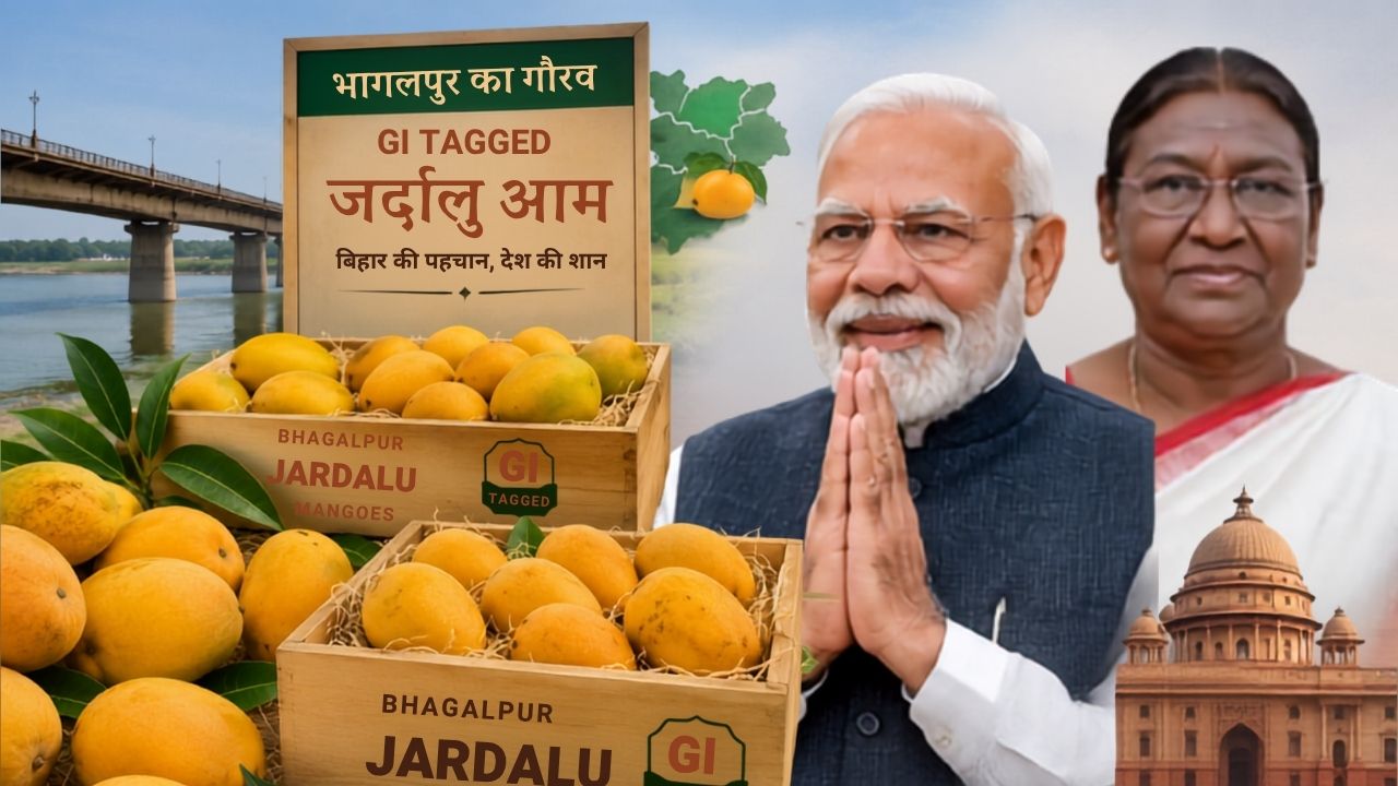भागलपुर का जर्दालु आम बना देश की शान, राष्ट्रपति-प्रधानमंत्री समेत कई VVIP को भेजी जा रही खेप