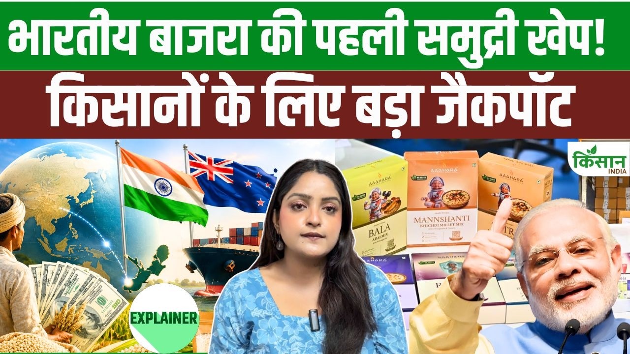 भारत का बाजरा पहली बार समुद्री रास्ते से न्यूजीलैंड पहुंचा, किसानों के लिए खुलेंगे कमाई के नए अवसर
