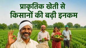 प्राकृतिक खेती का कमाल, किसानों का मुनाफा 124 फीसदी बढ़ा, आंध्र प्रदेश को मिला अंतरराष्ट्रीय पुरस्कार प्राकृतिक खेती का कमाल, किसानों का मुनाफा 124 फीसदी बढ़ा, आंध्र प्रदेश को मिला अंतरराष्ट्रीय पुरस्कार