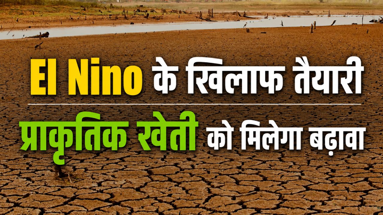 El Nino की चुनौतियों से निपटने के लिए हाईलेवल बैठक, CM ने एक्शन प्लान तैयार करने के दिए निर्देश