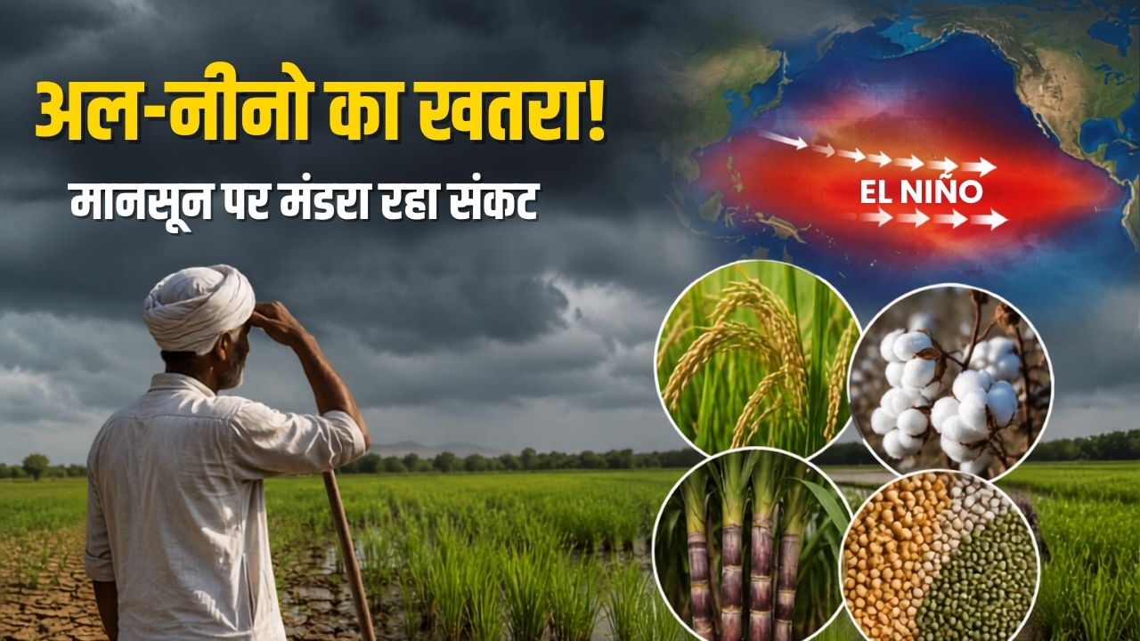 अल-नीनो बढ़ाएगा किसानों की चिंता! जानें कमजोर मानसून का किन फसलों पर पड़ सकता है सबसे बड़ा असर?