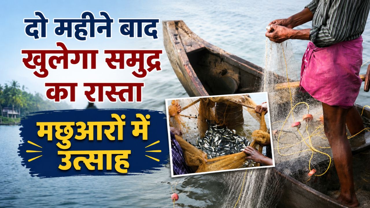 61 दिन का प्रतिबंध खत्म, इस दिन से शुरू होगी फिशिंग.. तटीय अर्थव्यवस्था को मिलेगी रफ्तार