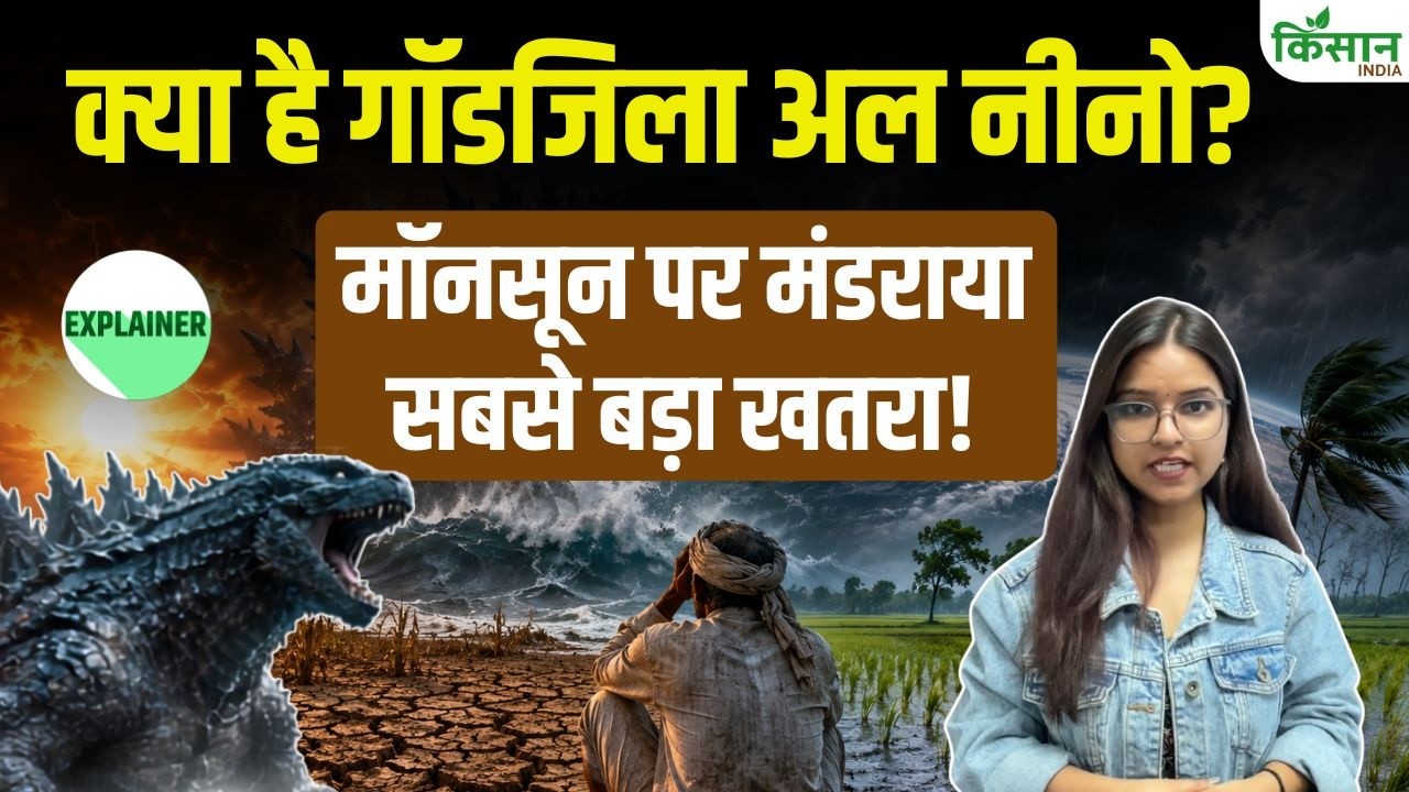 Godzilla El Nino की दस्तक! मानसून पर बड़ा संकट, गर्मी बढ़ने और मौसम के रिकॉर्ड टूटने की आशंका