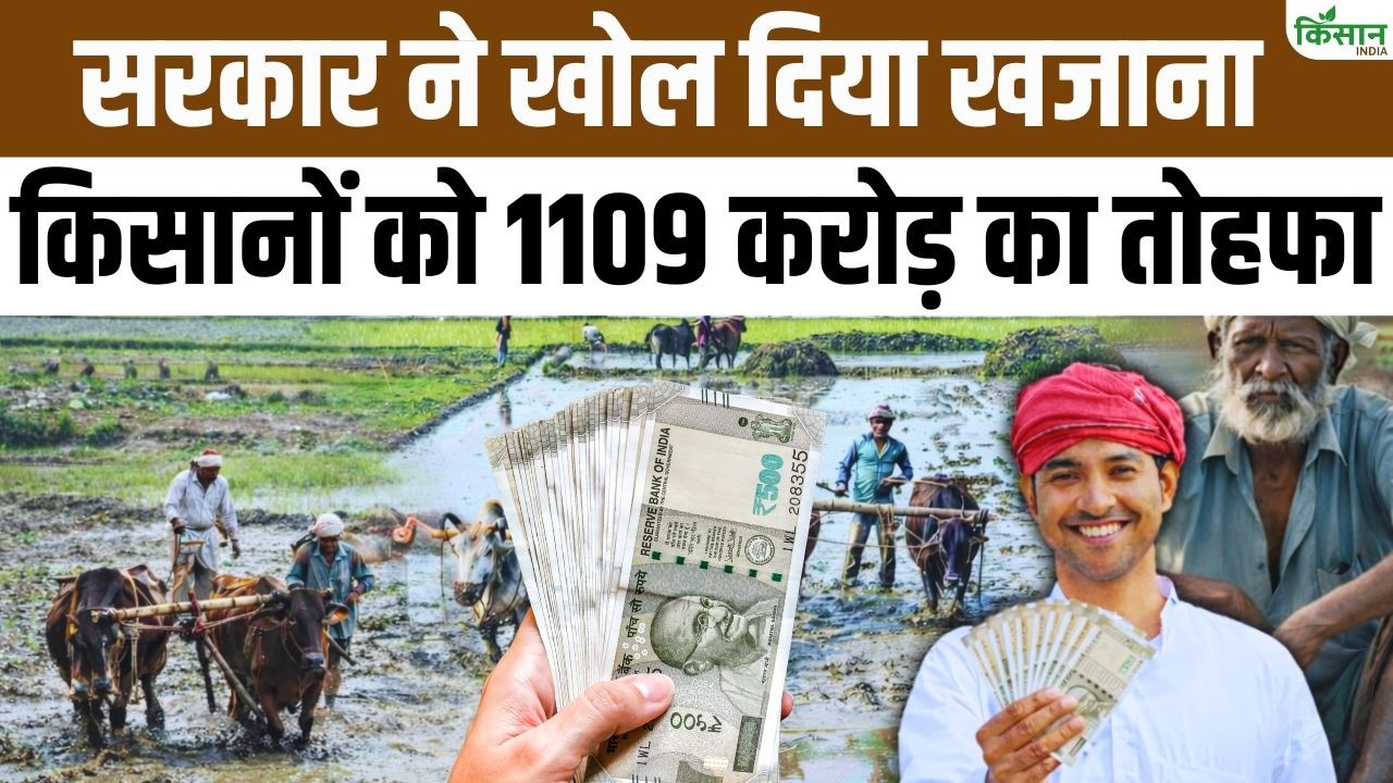 सीएम हेमंत सोरेन का बड़ा फैसला..कैबिनेट में 23 प्रस्ताव मंजूर, किसानों और युवाओं को मिल सकती राहत