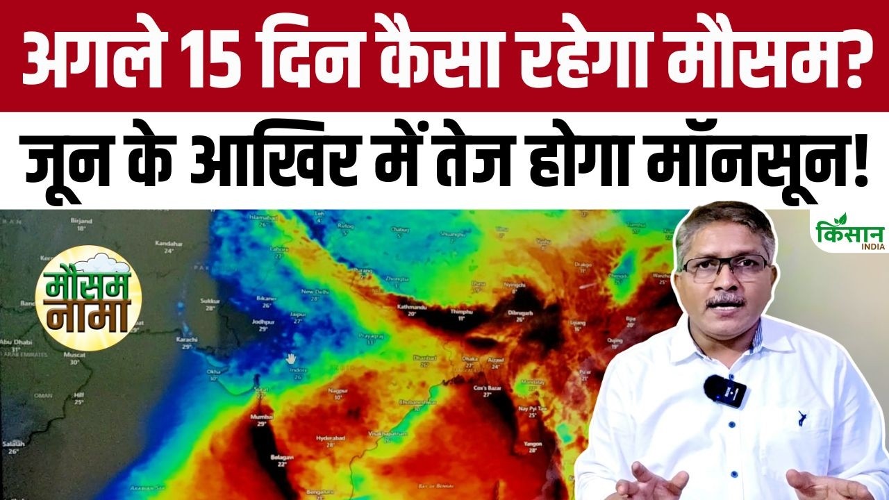 जून के आखिरी दिनों में बदलेगा मौसम का मिजाज, कई राज्यों में झमाझम बारिश के बन रहे आसार