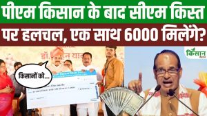 PM किसान की 23वीं किस्त के बाद MP सरकार देगी एक साथ 6000 रुपये? किसानों के लिए बड़ी अपडेट! PM किसान की 23वीं किस्त के बाद MP सरकार देगी एक साथ 6000 रुपये? किसानों के लिए बड़ी अपडेट!