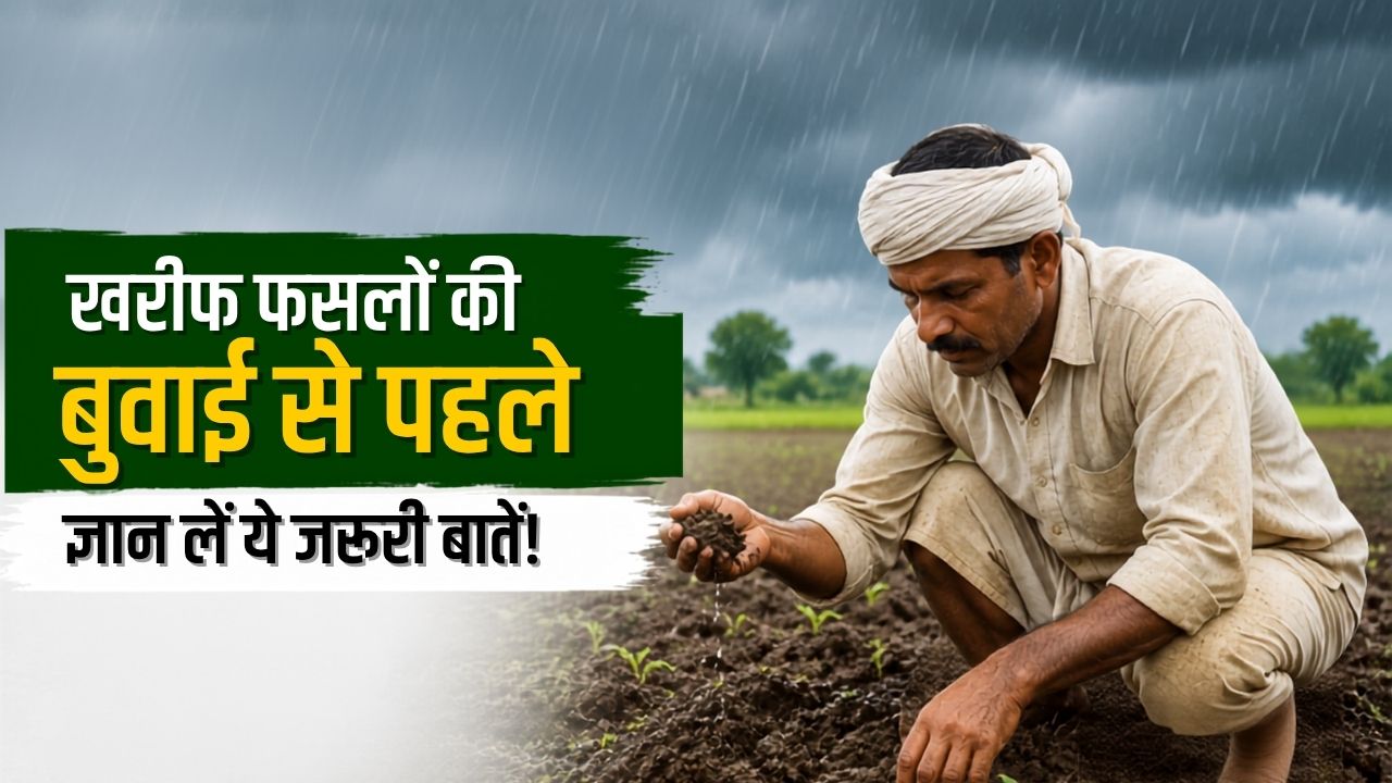 Tip Of The Day: मॉनसून की पहली बारिश के तुरंत बाद न करें बुवाई, ये टिप्स अपनाएं किसान