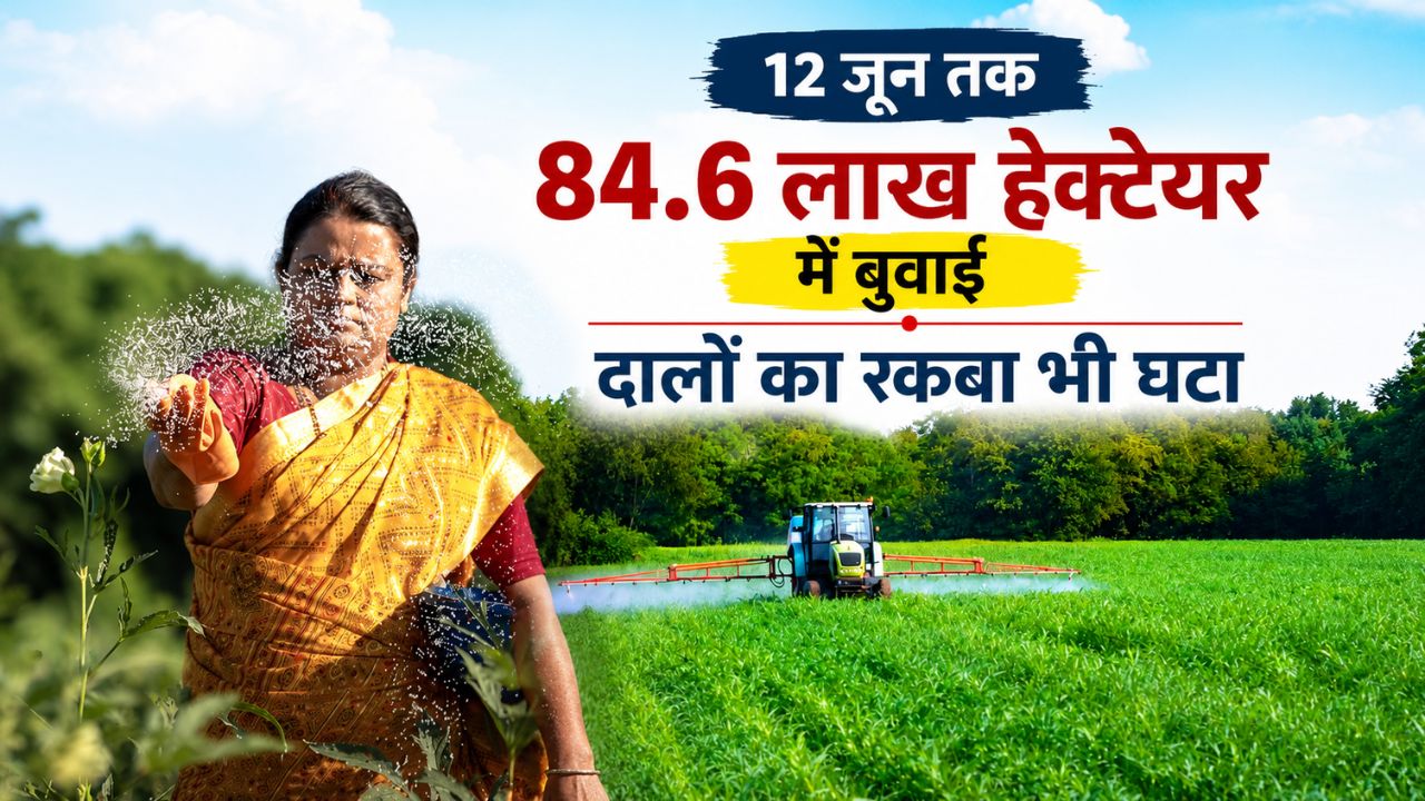 सुस्त पड़ी खरीफ बुवाई, रकबे में 3.9 फीसदी गिरावट.. जानें धान, दलहन और मोटे अनाज का हाल