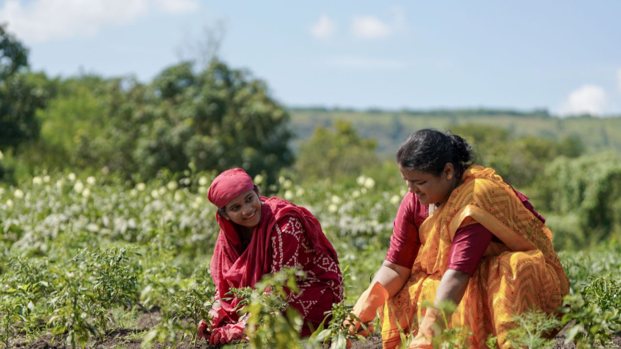 गुजरात में सामान्य से 82 फीसदी कम बारिश, खरीफ बुवाई की रफ्तार हुई धीमी.. टेंशन में अन्नदाता