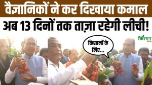 लीची किसानों के लिए बड़ी खुशखबरी! नई तकनीक से 13 दिनों तक ताजा रहेगी Litchi