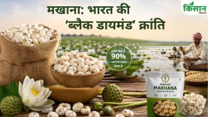बिहार का ‘ब्लैक डायमंड’ बना दुनिया का पसंदीदा सुपरफूड! 5 साल में उत्पादन 3 गुना, विदेशों में भारी मांग