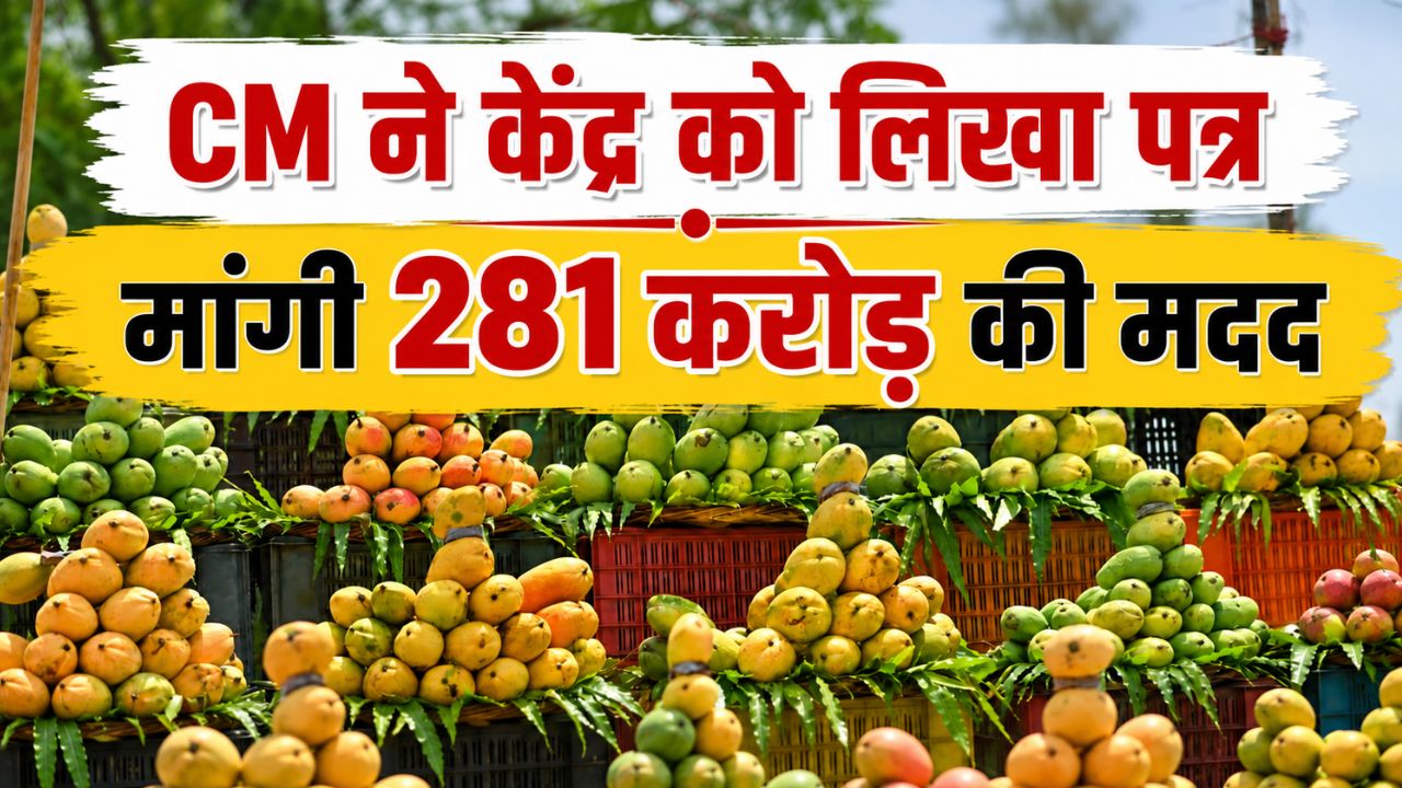 बड़ी राहत! 7 लाख टन आम की होगी सरकारी खरीद.. किसानों को 4 रुपये किलो मिलेगा बोनस