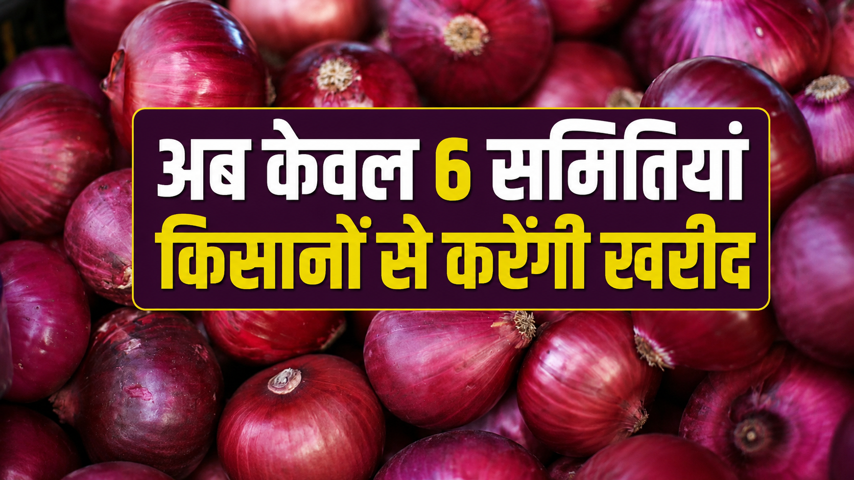 नासिक में प्याज खरीद प्रभावित, NAFED ने 12 समितियों के आईडी किए ब्लॉक.. क्यों हुई कार्रवाई