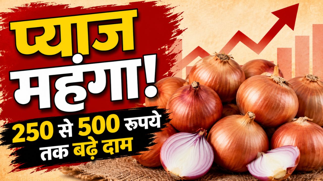 रिटेल में महंगा हो सकता है प्याज, नासिक की मंडियों में 40 फीसदी तक बढ़ीं होलसेल कीमतें
