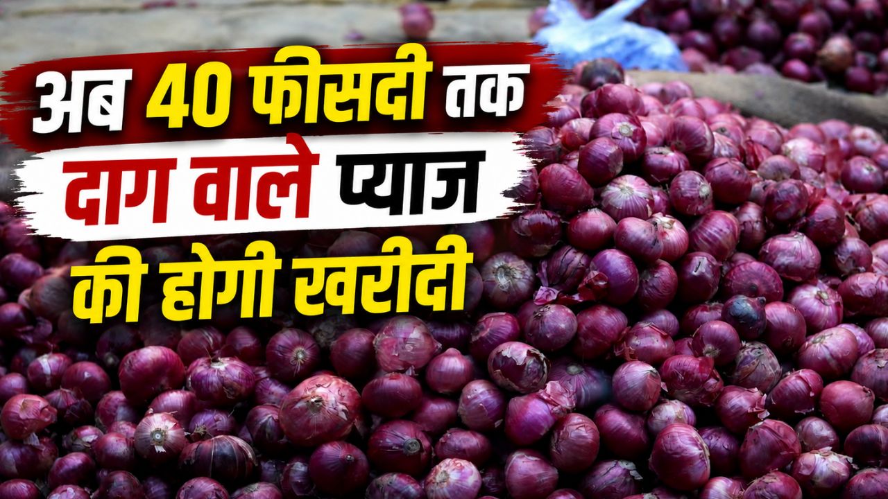 बड़ी राहत! सरकार ने प्याज खरीद मानकों में दी ढील, किसानों को होगा सीधा फायदा