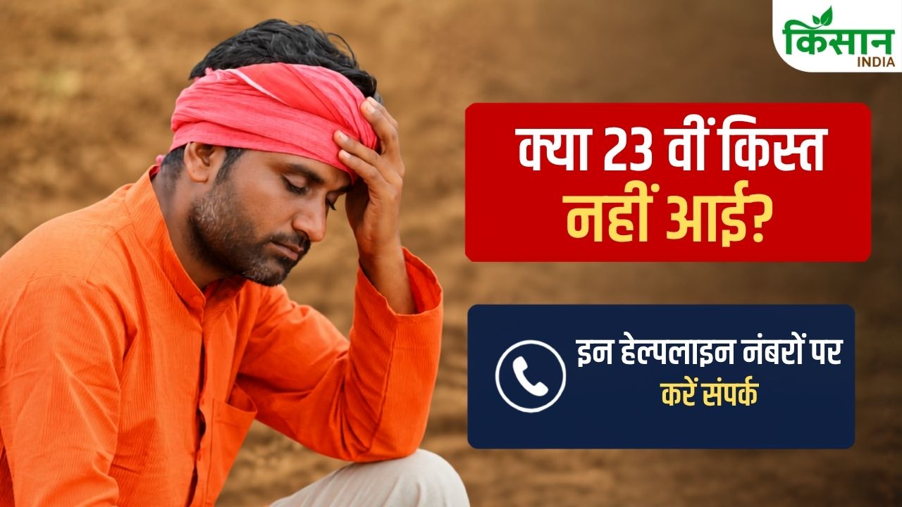 अभी तक खाते में नहीं पहुंची पीएम किसान की 23वीं किस्त? तुरंत इन नंबरों पर करें कॉल, मिलेगी पूरी जानकारी