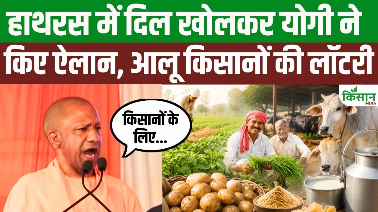 हाथरस में सीएम योगी का बड़ा ऐलान 548 करोड़ की सौगात से विकास को मिलेगी नई रफ्तार किसानों को लाभ