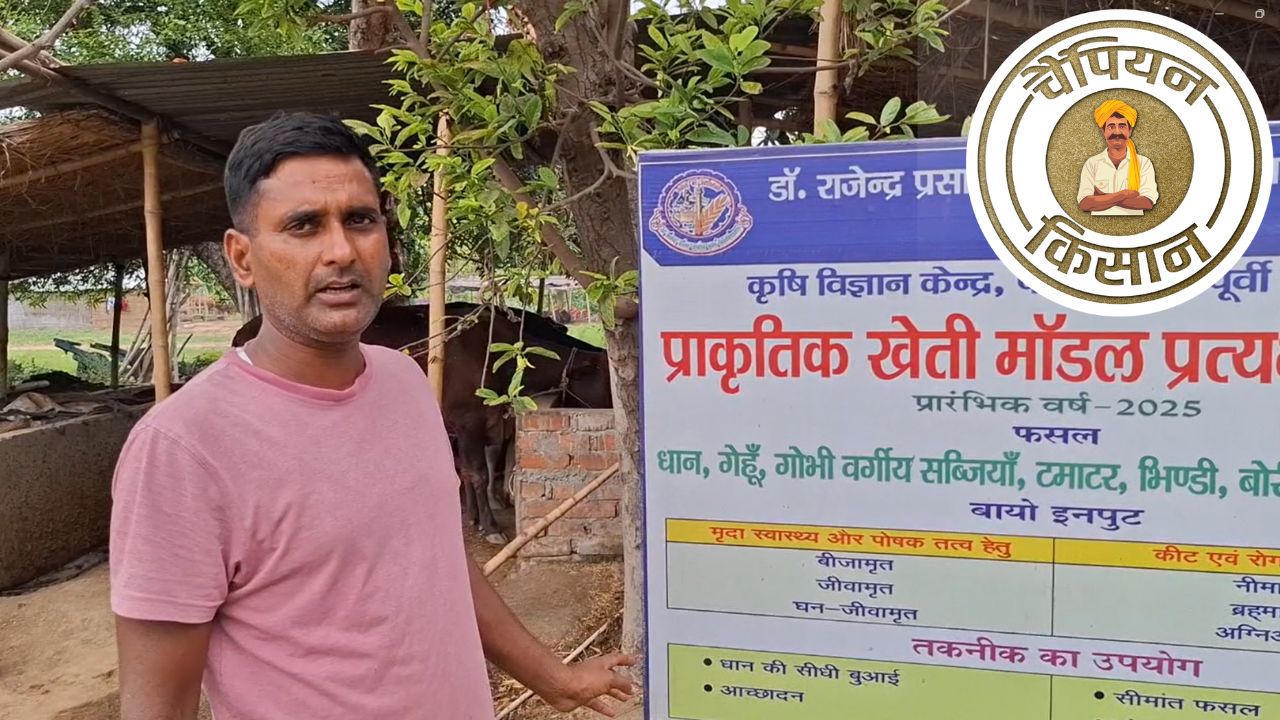 सेना के जवान ने प्राकृतिक खेती का सफल मॉडल बनाया, खेती का तरीका सीखने पहुंच रहे लोग  