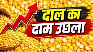 चना कीमतों में 9 फीसदी उछाल, मॉनसून-त्योहारी मौसम में खपत बढ़ने पर दाम और चढ़ेंगे चना कीमतों में 9 फीसदी उछाल, मॉनसून-त्योहारी मौसम में खपत बढ़ने पर दाम और चढ़ेंगे