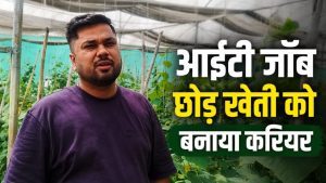नेट हाउस फार्मिंग से हर सीजन 4 लाख मुनाफा ले रहे शिवेंद्र, ऑफ सीजन फसलों ने बनाया करोड़पति नेट हाउस फार्मिंग से हर सीजन 4 लाख मुनाफा ले रहे शिवेंद्र, ऑफ सीजन फसलों ने बनाया करोड़पति