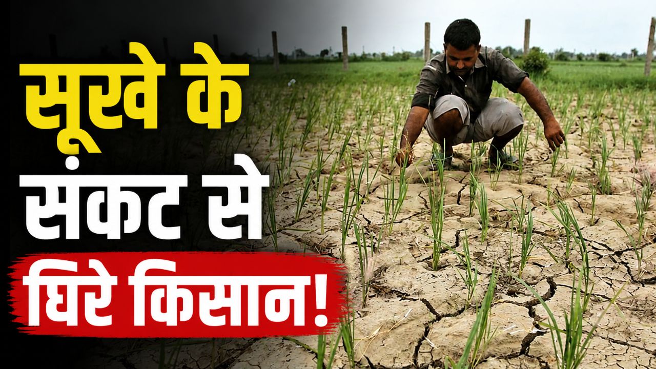 क्या फसलों को लील जाएगा इस बार का सूखा, सरकार ने खरीफ बुवाई को लेकर जारी की चेतावनी