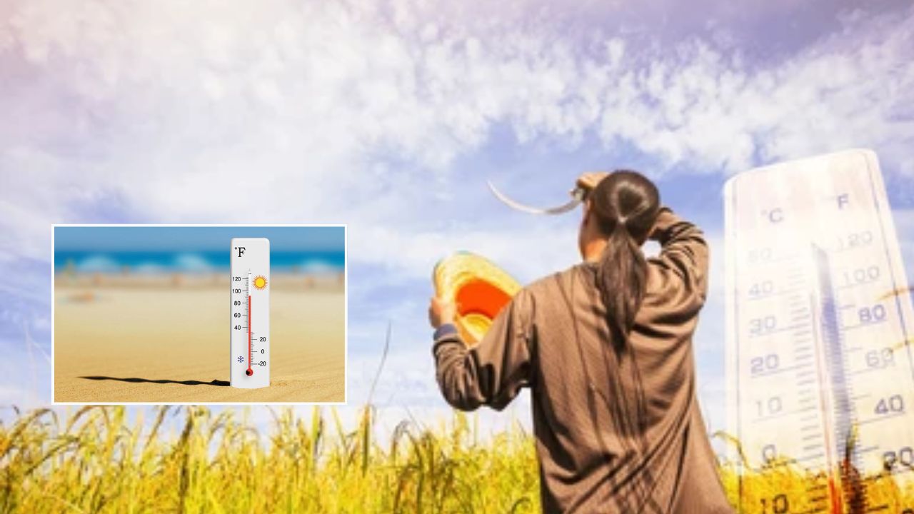 ग्लोबल वार्मिंग से हीट स्ट्रेस टाइमिंग बढ़ने की चेतावनी, IIT-US शोध में सेहत और खेती के लिए अलर्ट  