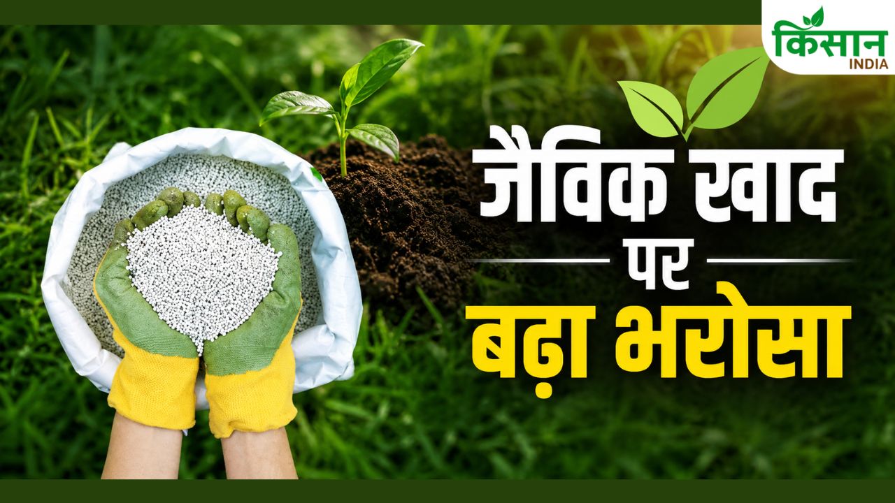 केमिकल खाद से होने लगा मोहभंग.. जैविक खाद पर शिफ्ट हुए किसान, खरीद में रिकॉर्ड 253% उछाल