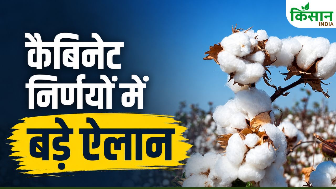 सरकार ने मंडी टैक्स बढ़ाया.. कपास शुल्क घटाने की घोषणा, भूमि अधिग्रहण पर 4 गुना मुआवजे को मंजूरी