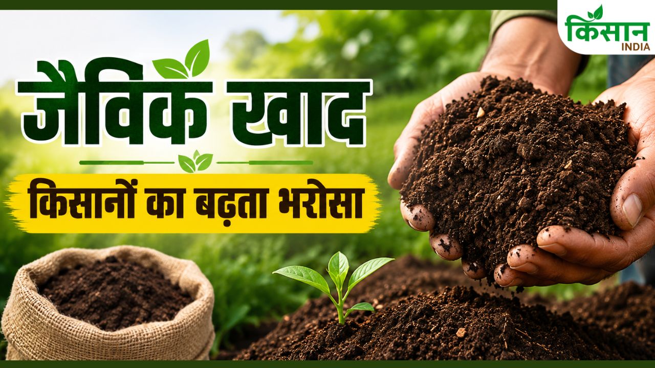 जैविक खाद इस्तेमाल करने में पंजाब सबसे आगे.. यूपी के किसान भी पीछे नहीं, देखें राज्यों की सूची
