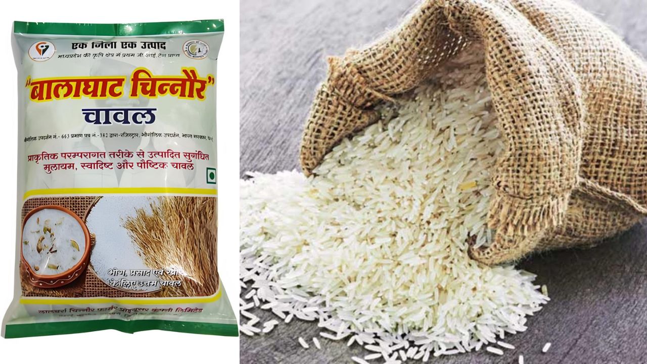 ब्रिक्स कृषि सम्मेलन में जीआई टैग बालाघाट चिन्नौर चावल का जलवा, खाद्य सुरक्षा और क्लाइमेट चेंज पर मंथन