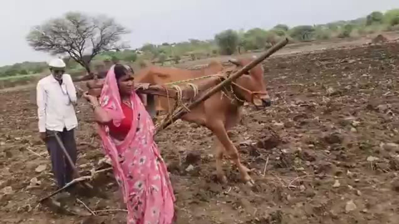 बैल की मौत के बाद खुद हल खींच रही महिला किसान को मिली सरकारी मदद, वीडियो वायरल हुआ तो जागा प्रशासन