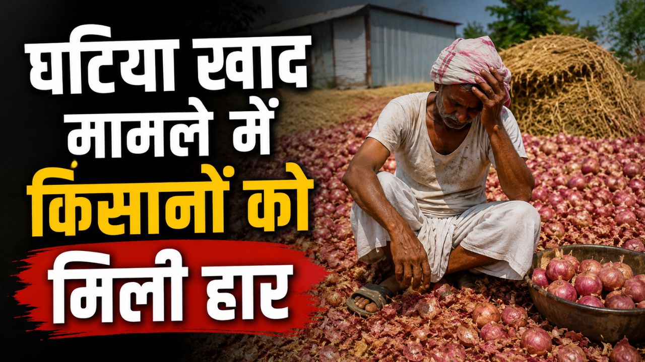 घटिया खाद डालने से फसल खराब होने का केस हारे किसान, कोर्ट में उर्वरक कंपनी दोषमुक्त