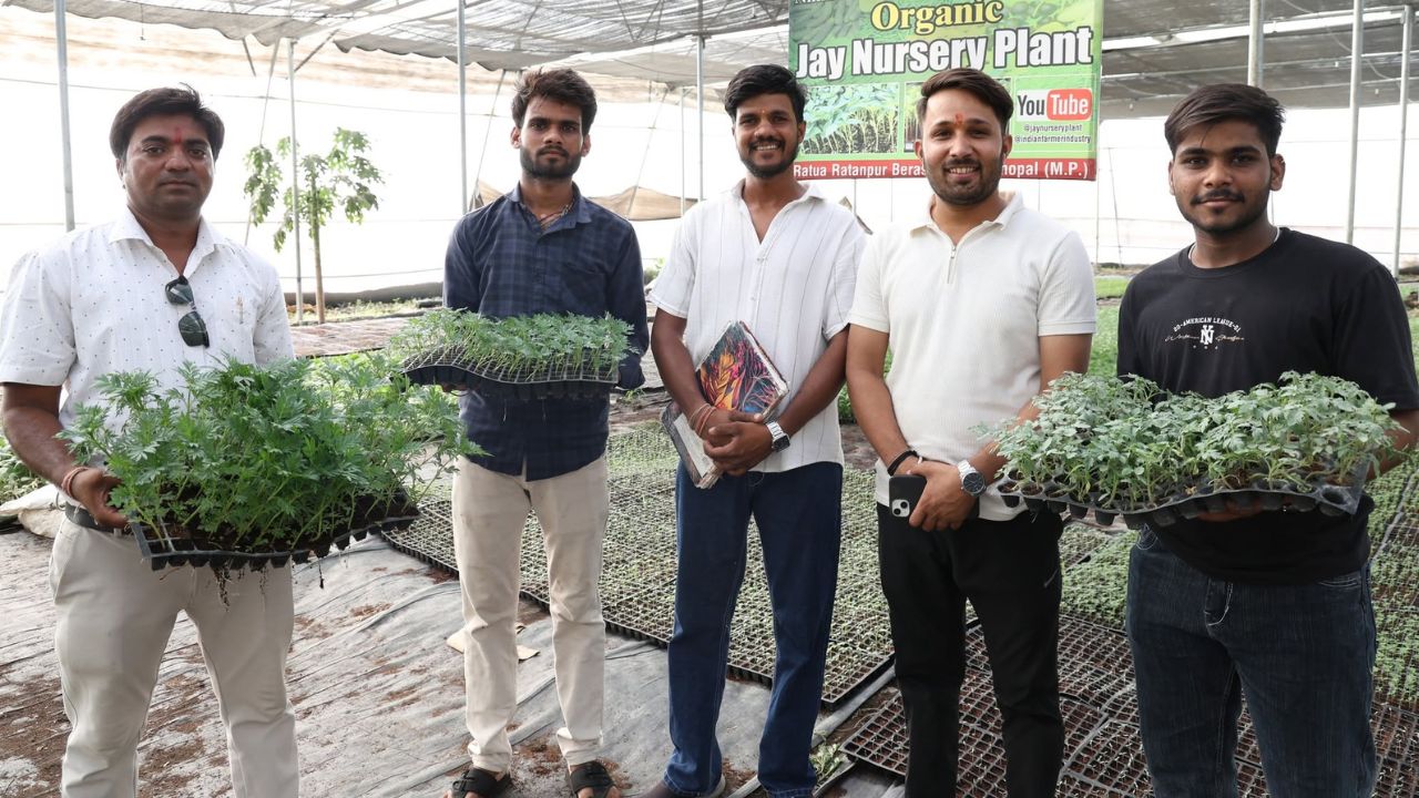 वेजीटेबल प्लांट बेचकर 3.5 लाख रुपये मुनाफा कमा रहे 25 साल के निखिल, हर माह 8 लाख पौधों की सेल